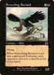 Screeching Buzzard #165