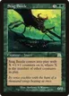 Stag Beetle #285