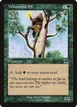 Wirewood Elf #301