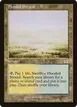 Flooded Strand #316