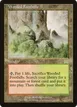 Wooded Foothills #330