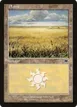 Plains #332