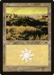Plains #333