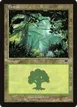 Forest #347