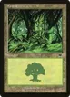Forest #348