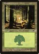 Forest #349