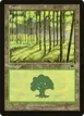 Forest #350