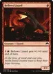 Bellows Lizard #132