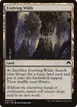 Evolving Wilds #246
