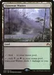 Llanowar Wastes #248