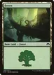 Forest #269