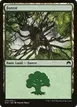 Forest #272