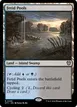 Fetid Pools #296