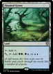 Flooded Grove #297