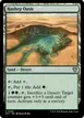 Hashep Oasis #299