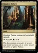 Opulent Palace #307