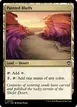 Painted Bluffs #309