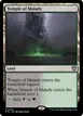 Temple of Malady #330