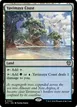 Yavimaya Coast #342