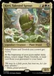 Kirri, Talented Sprout #7