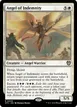 Angel of Indemnity #9
