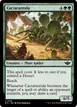 Cactarantula #158