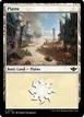 Plains #277