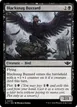 Blacksnag Buzzard #79