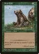 Bear Cub #123