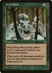 Deep Wood #126