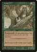 Lynx #132