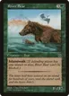 River Bear #144