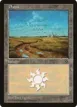 Plains #153