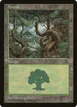 Forest #163