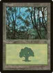 Forest #165