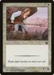Volunteer Militia #28