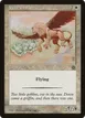 Wild Griffin #30