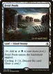 Fetid Pools #243
