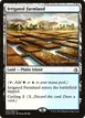 Irrigated Farmland #245