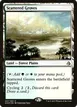 Scattered Groves #247