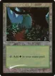 Forest #11
