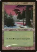 Forest #1