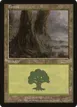 Forest #5