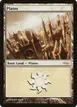Plains #1