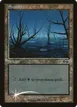 Swamp #9