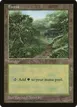 Forest #11