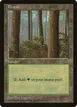 Forest #1