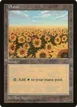 Plains #4