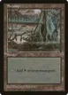 Swamp #5