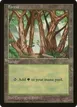Forest #6